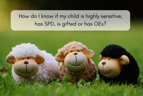 How Do I Know If My Child Is Highly Sensitive Has Spd Is