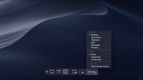 Macos Mojave How To Use New Screenshot And Screencast Tools Without