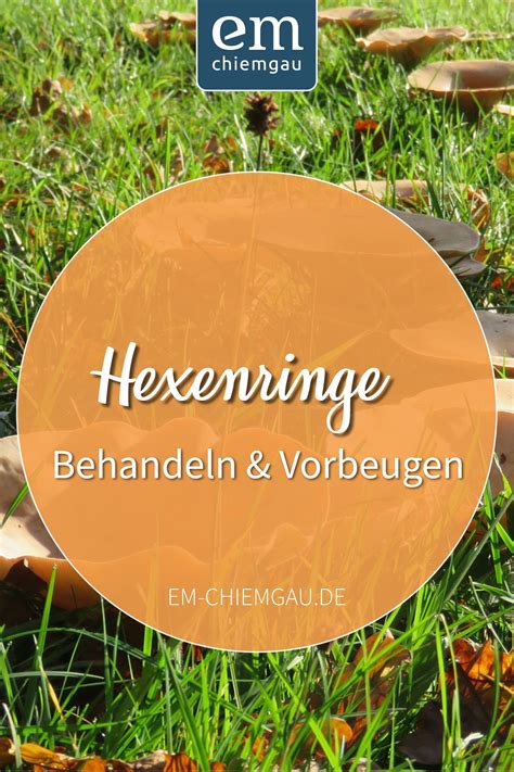 Hat man trotz aller vorbeugungsmaßnahmen hexenringe im garten, so darf man keine fungizide. Was gegen Pilze 🍄 im Rasen wirklich hilft | Pilze im rasen ...