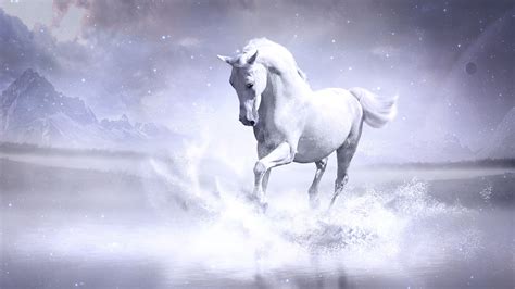 Awasome 7 White Horse Hd Wallpapers 1920x1080 Ideas