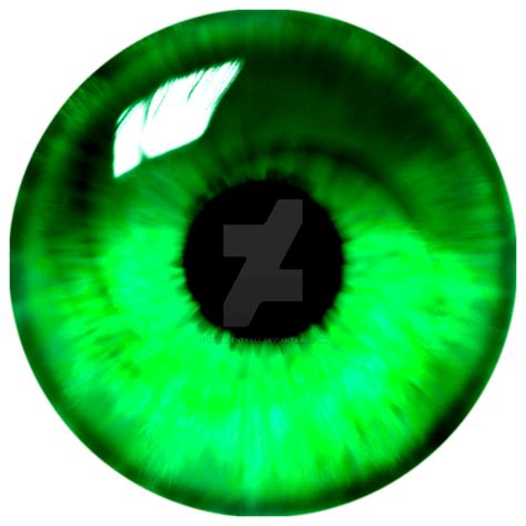 Green Swirl Eye Logo
