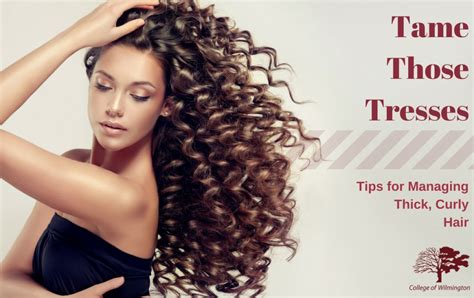 Tame Those Tresses Tips For Managing Thick Curly Hair