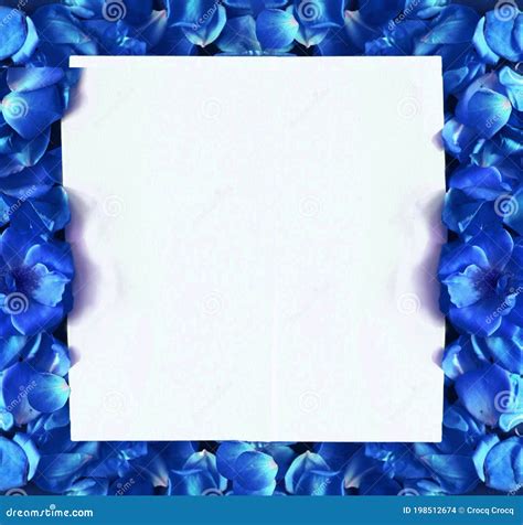 Royal Blue Wedding Frame Photos Free And Royalty Free Stock Photos From