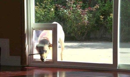 It provides an alternative way of closing the patio door by introducing a pet door into the opening. Sliding Glass Dog Door | Diy doggie door, Dog door ...