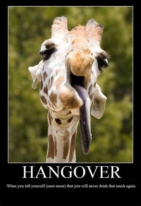 50 Top Hangover Meme That Make You So Much Laugh Quotesbae