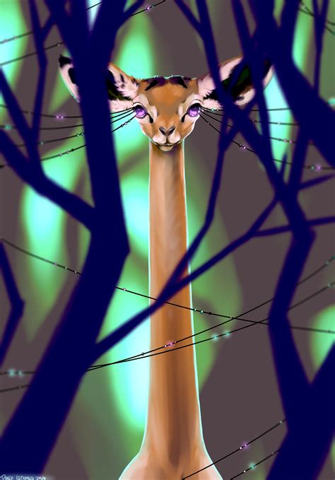 Gerenuk By Danji Isthmus On Newgrounds