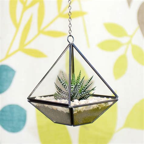 Mini Geometric Glass Vase Succulent Terrarium Kit By Dingading Terrariums