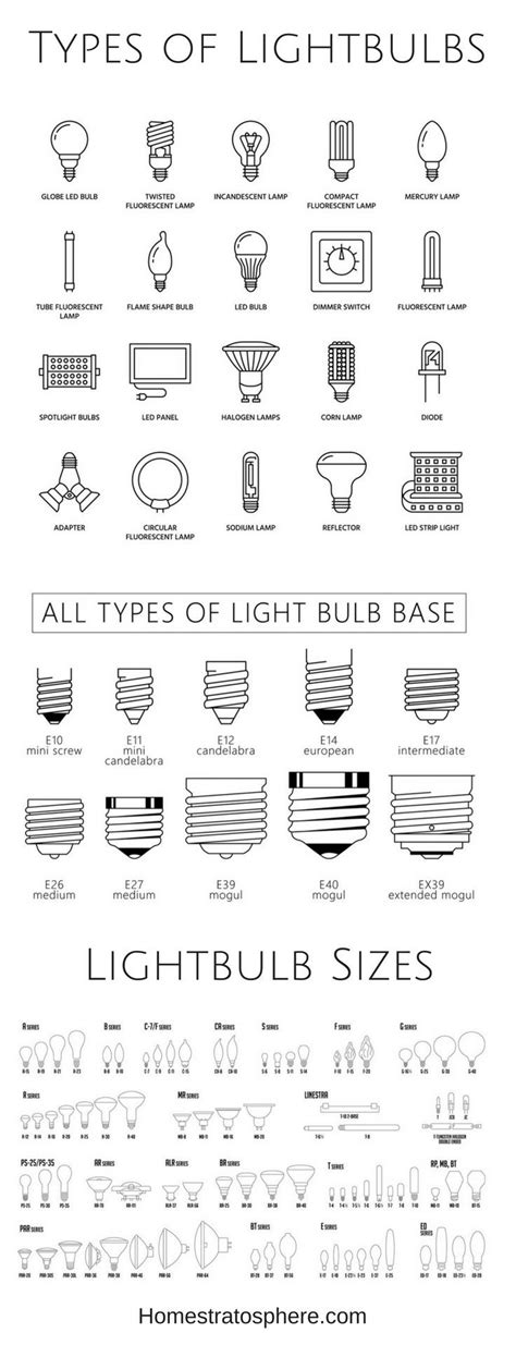 Diagram Showcasing The Many Different Types Of Lightbulb Shapes Sizes