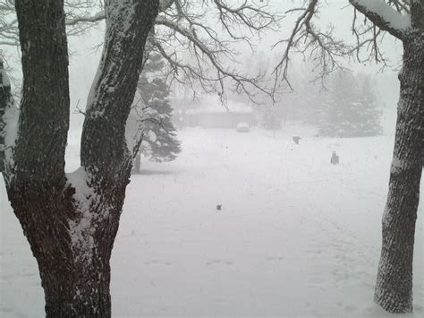 Tons of awesome blizzard wallpapers to download for free. Feb 2013 Blizzard | We had a pretty good blizzard on Feb ...