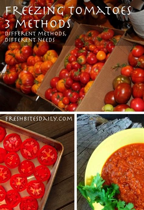 Freezing Tomatoes 3 Ways To Preserve The Tomato Harvest Fresh Bites