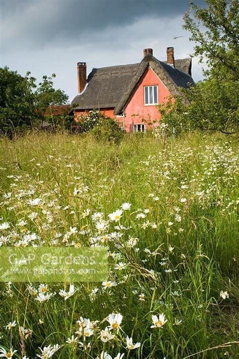 Thatched Pink Cottage With Wildflower Garden Smallwood Farmhouse