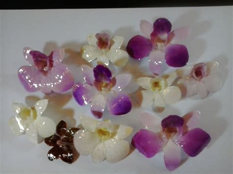 Maybe you would like to learn more about one of these? resin-coating-orchids | Diy resin crafts, Resin crafts ...
