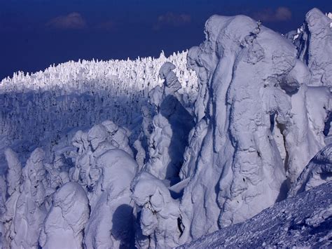 Chellas Musings Snow Monsters Of Japan
