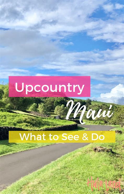 Pin On Maui Info
