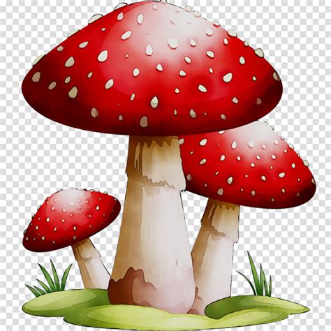 Clipart Mushroom Cartoon Images png image