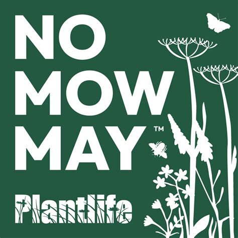 Plantlifes No Mow May Movement