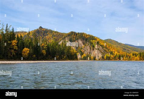 Siberian Taiga Fall River And Forest In Eastern Siberia Stock Photo