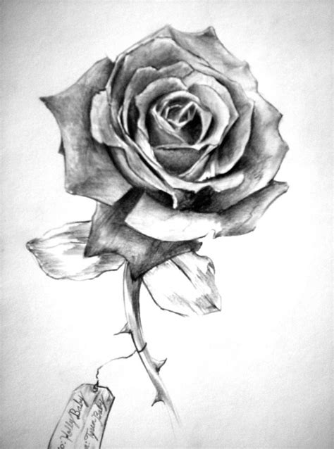 That's mean the shading is already done the quality of the printing was very poor as if they were drawn in the 50's. Pencil drawing rose with shading. This image is more order ...
