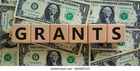 The 9 Myths About Grants You Should Know Centrinity