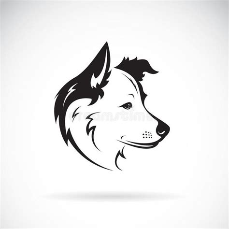 Illustration About Vector Of A Border Collie Dog On White Background