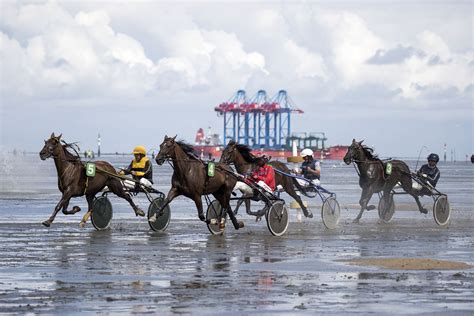 Zimmer alten und pflegeheim ambulanter pflege nst. Rennbahn Cuxhaven - www.galopp-handicap.de ...