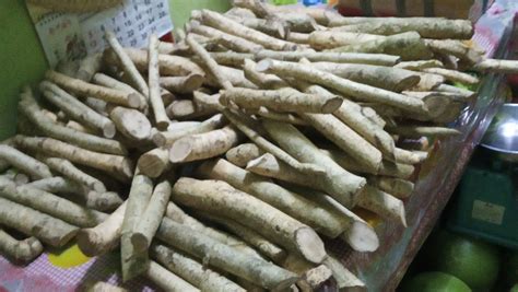 Alingatong Roots Herbal For Kidney Failurestone Atpb Novaliches Qc Home