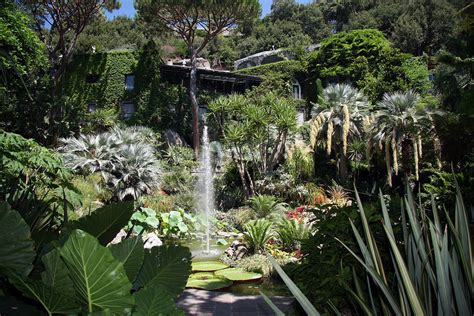 Es sind brancheneinträge zu garten in stralsund gefragt? Ischia Ischia - Google-Suche | Gartenkunst, Italienischer ...