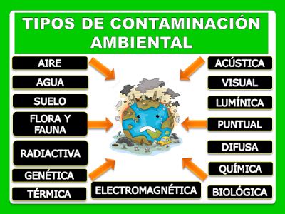 Mapa Conceptual De Tipos De Contaminacion Ambiental Mapasense