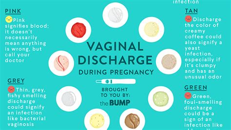 Mucous Discharge During Pregnancy In The 1st 2nd 3rd Trimester