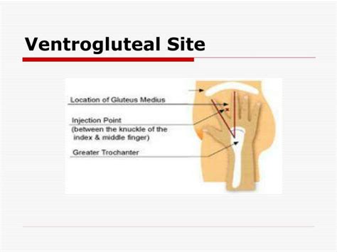 ppt intramuscular injection powerpoint presentation id 1452695