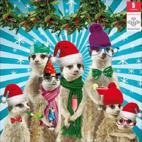 Pack Of 5 Meerkat Princes Trust Charity Christmas Cards Cards Love