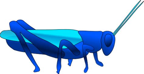 Grasshopper Insect Vector Clip Art Animated Grasshopper Image