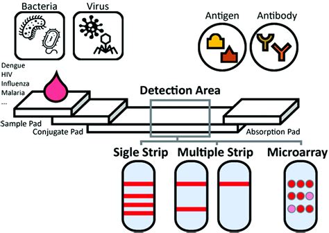 A New Point Of Care Test For The Diagnosis Of Infectious Diseases Based On Multiplex Lateral