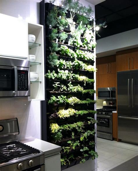Vitamin Ha Green Living Walls Herb Garden In Kitchen Kitchen Herbs
