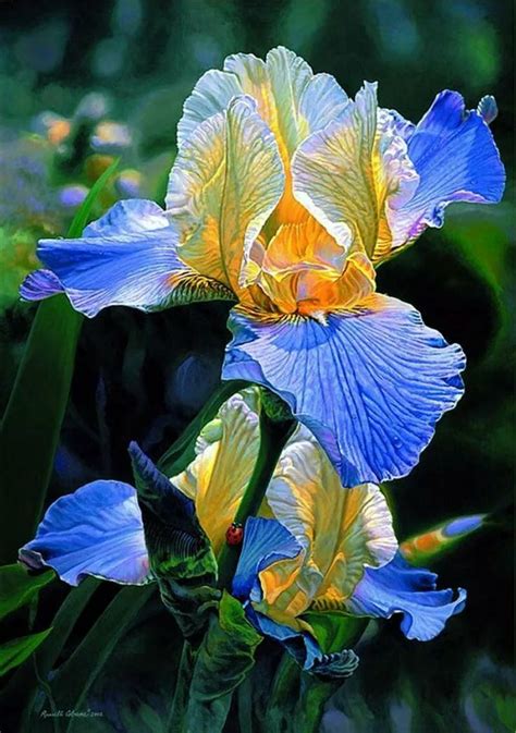 Pin By Надежда On живопись In 2020 Iris Painting Iris Flowers Oil