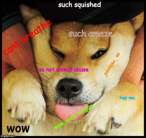 Wow Funny Wow Doge Meme 45 Of The Funniest Doge Memes Doge Meme