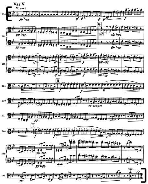 Viola Brahms Haydn Variations Var V Vii And Viii Orchestra Excerpts