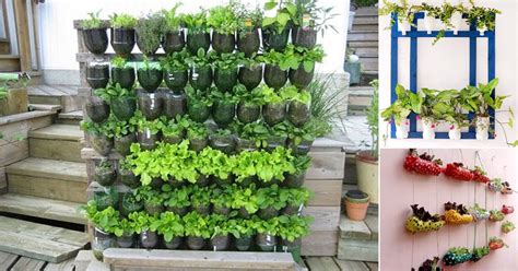 We did not find results for: 17 DIY Ideas for Growing Herbs in Plastic Bottles ...