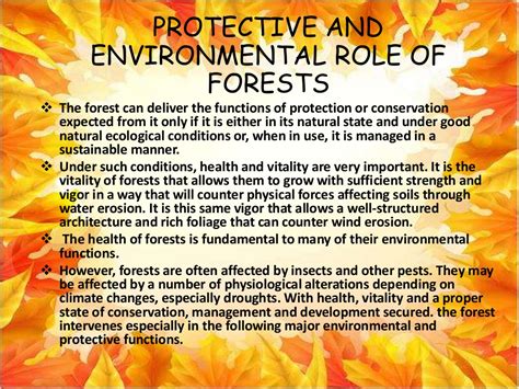 Important Of Forests