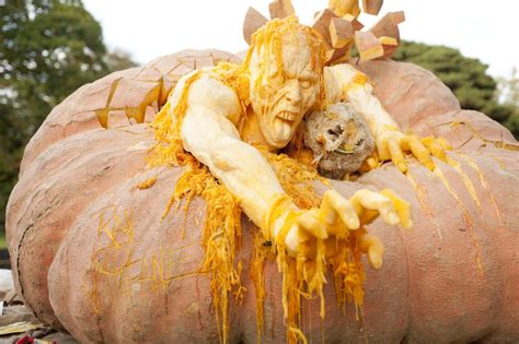 Pumpkin Carving Artistry Woman Fresh