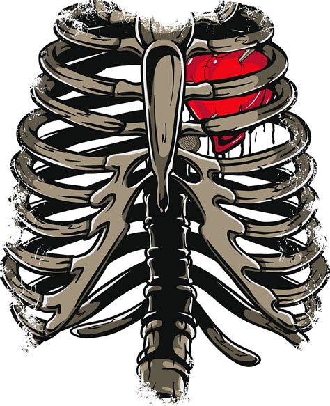 Rib Cage And Heart By Kimberlymarie Redbubble