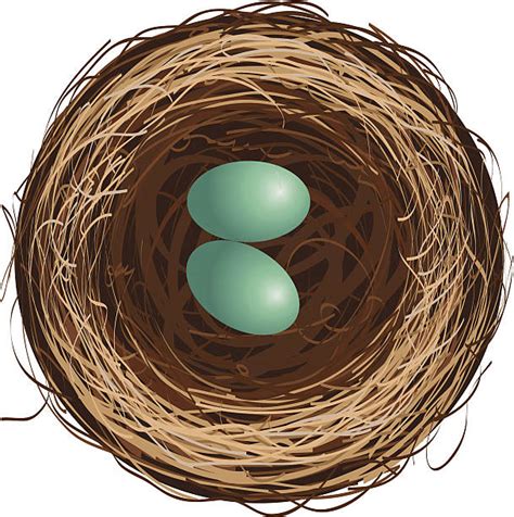 Bird Nest Clip Art Vector Images And Illustrations Istock