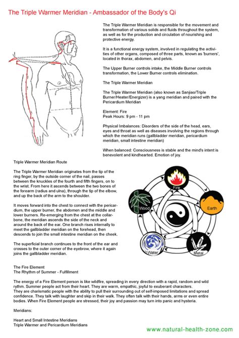 Triple Warmer Meridian Flow Pdf Download Free Wwnatural Health Acupuncture Points