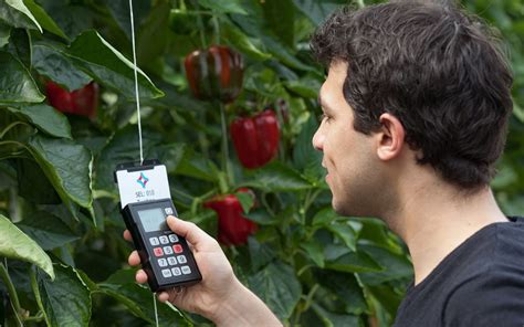 First Demonstration New Sweet Pepper Harvesting Robot In The Greenhouse