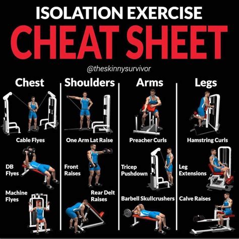 Compound And Isolation Exercise Cheat Sheet Guide