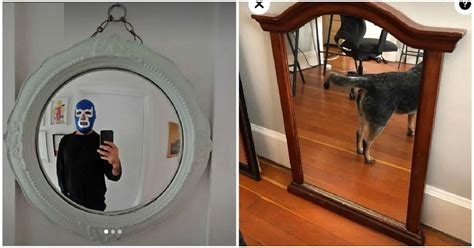 Funny Pictures Of People Selling Mirrors Img Melon