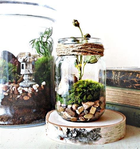 The most common sea urchin cactus material is metal. 17 Magnificent Terrarium Spring Decorations - Style Motivation