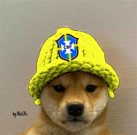 Cachorro Com Touca Da Seleção Brasileira Cachorro Ícone De Cachorro