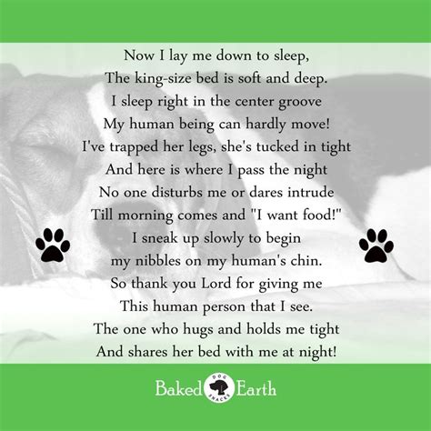 Catholic Prayer For Pets Who Died Pets