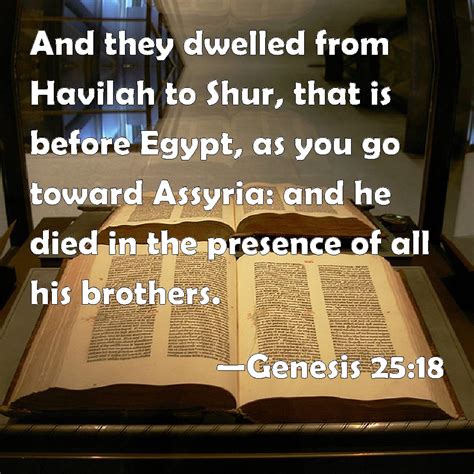 Genesis 2518 And They Dwelled From Havilah To Shur That Is Before